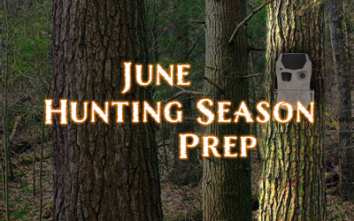 Hunting Season Prep: June