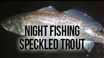 Night Fishing for Speckled Trout – Sportsman's Outfitters