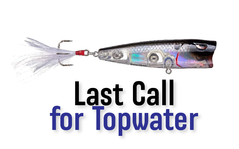 Last Call for Topwater
