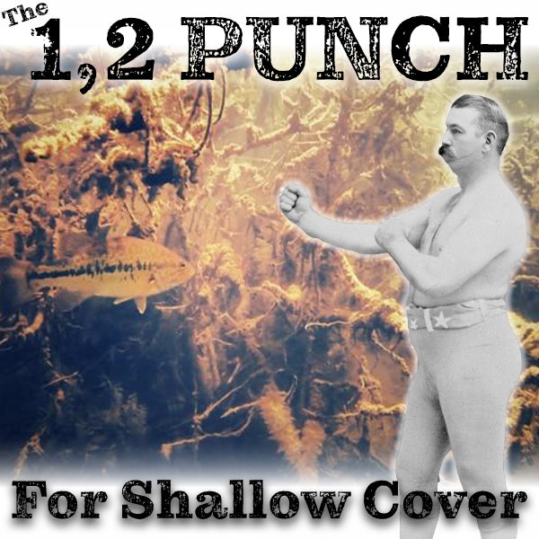 The 1, 2 Punch for Shallow Cover