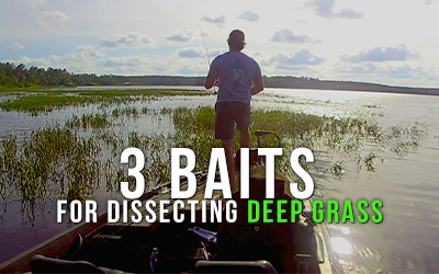 3 Baits for Dissecting Deep Grass