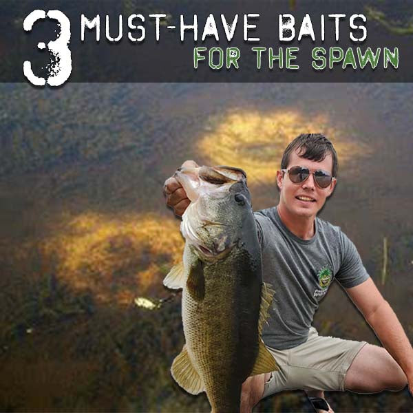 Three Must-Have Baits for the Spawn