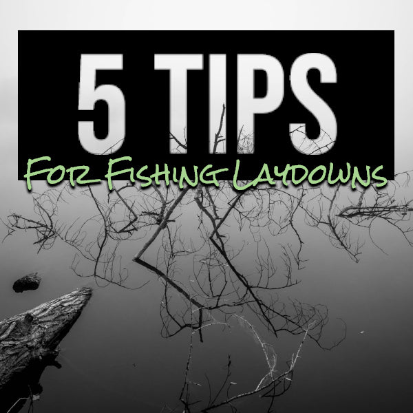 5 Tips for Fishing Laydowns