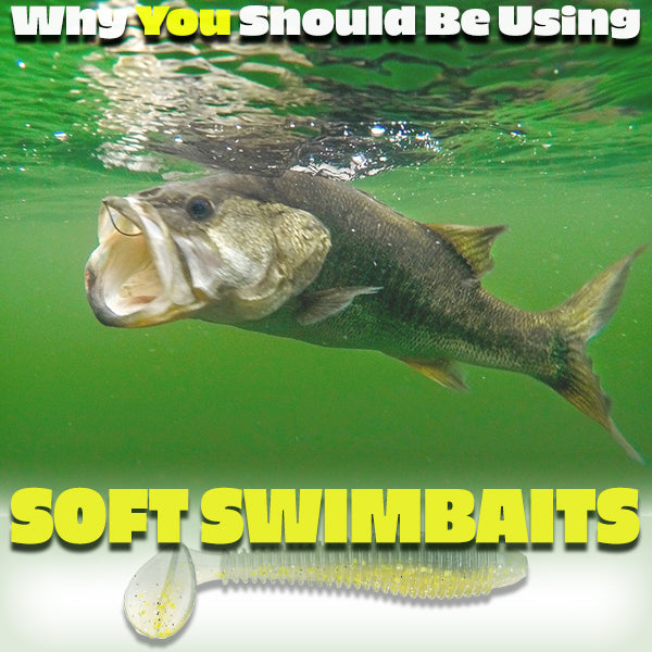 Why You Should Be Using Soft Swimbaits