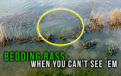 Bedding Bass: When You Can’t See ‘Em