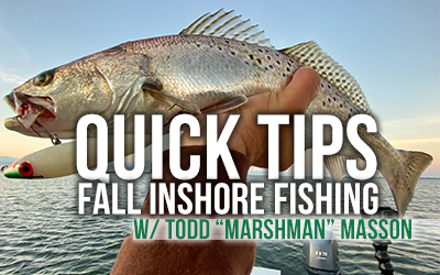 Quick Tips for Fall Inshore Fishing with Todd "Marshman" Masson