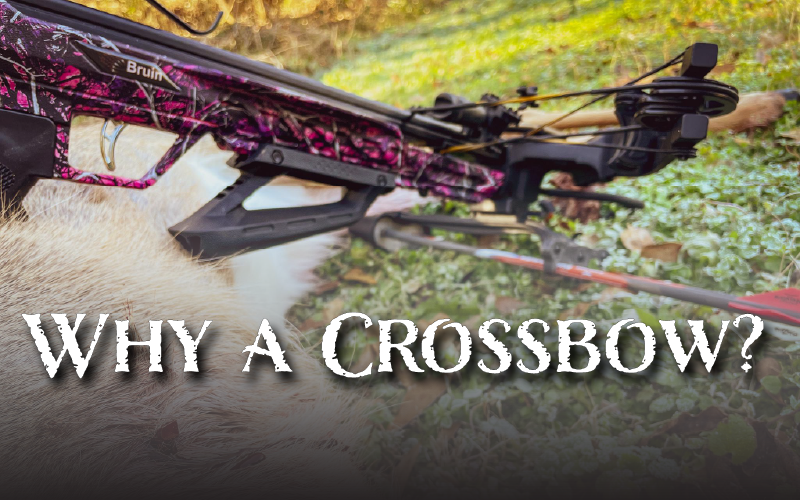 Why a Crossbow?