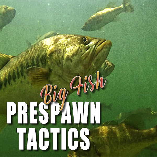 Top 5 Pre-Spawn Bass Lures!