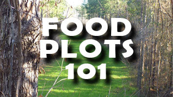 Food Plot Planting Tips & Tricks