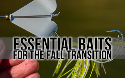 Essential Baits for the Fall Transition