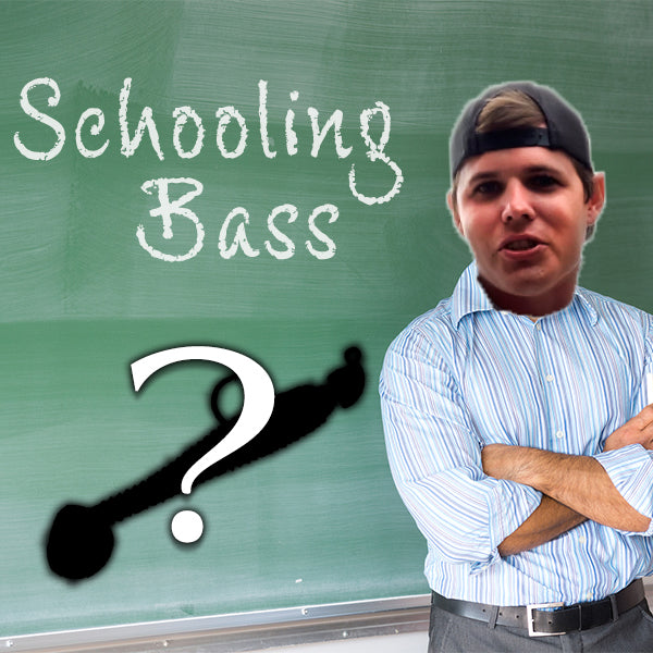 Schooling Bass