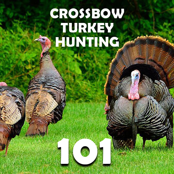 Crossbow Turkey Hunting 101