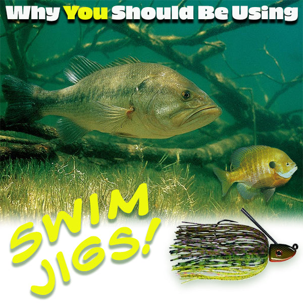 Why You Should Be Using Swim Jigs