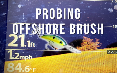 Probing Offshore Brush