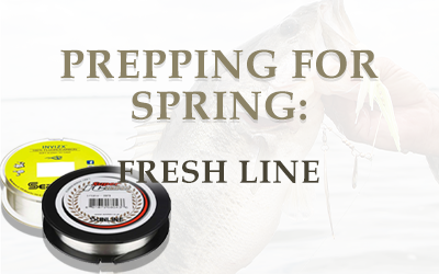 Prepping for Spring: Fresh Line