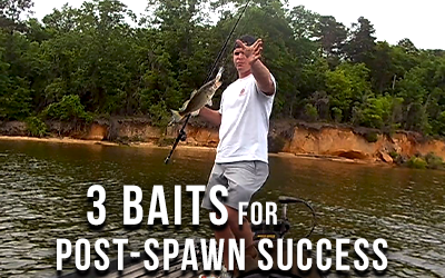 Top Baits for Post-Spawn Bass