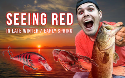 Seeing Red in Winter and Late Spring