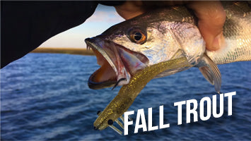Fall Trout Fishing Tips