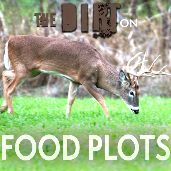 The Dirt on Food Plots