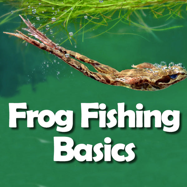 Frog Fishing Basics