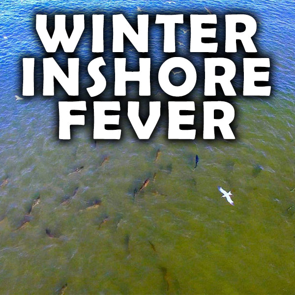 Late Winter Inshore Tips!