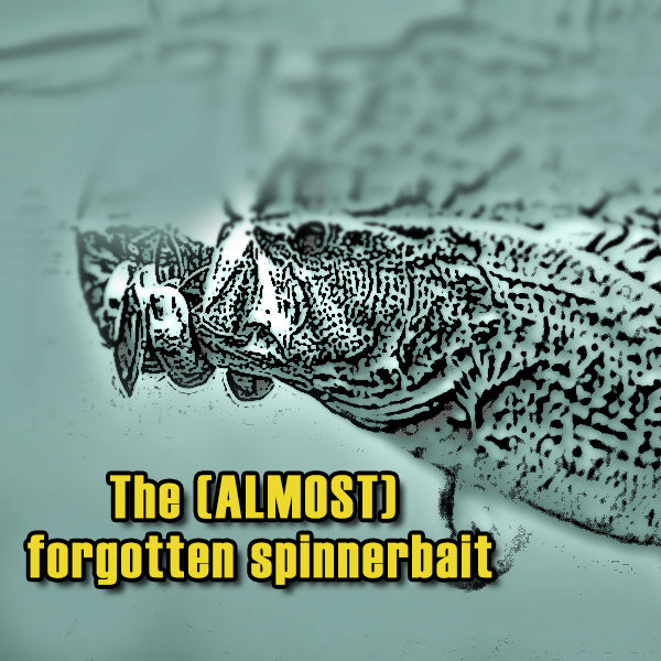The (ALMOST) Forgotten Spinnerbait
