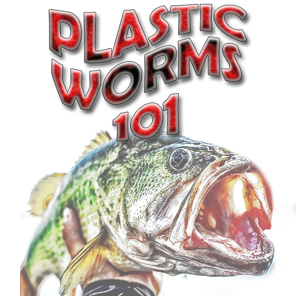 Plastic Worms 101