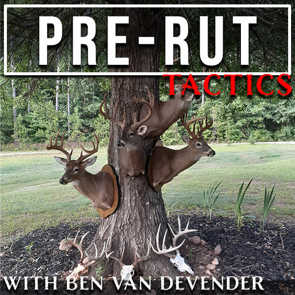 Pre-Rut Tactics with Ben Van Devender