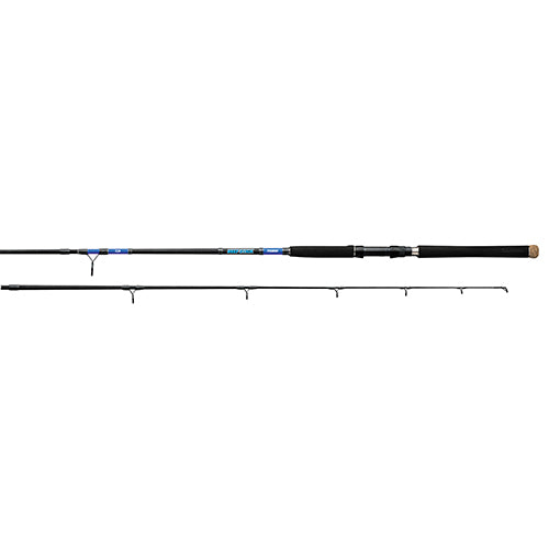 Daiwa Beefstick Rod