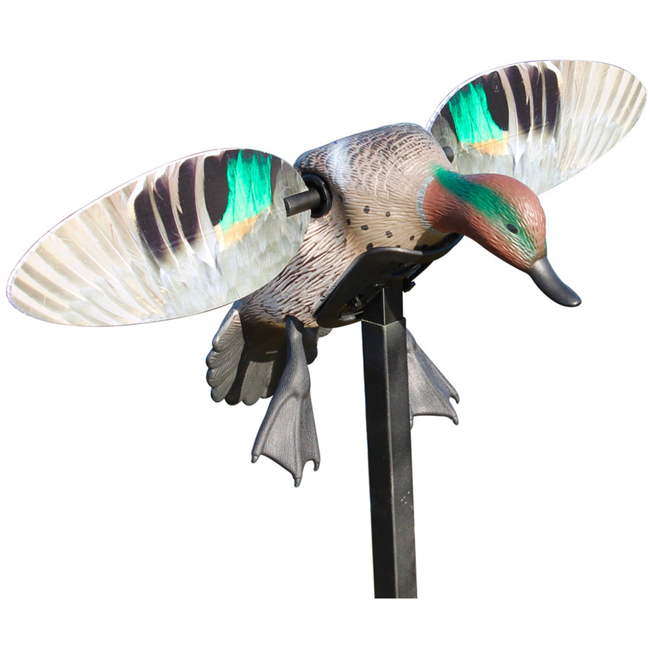 Mojo Elite Series Green Wing Teal (Remote Ready)